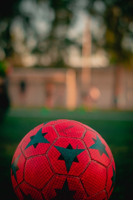 的伤病恢复 的伤病恢复