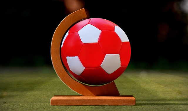 仅仅对公司 仅仅对公司