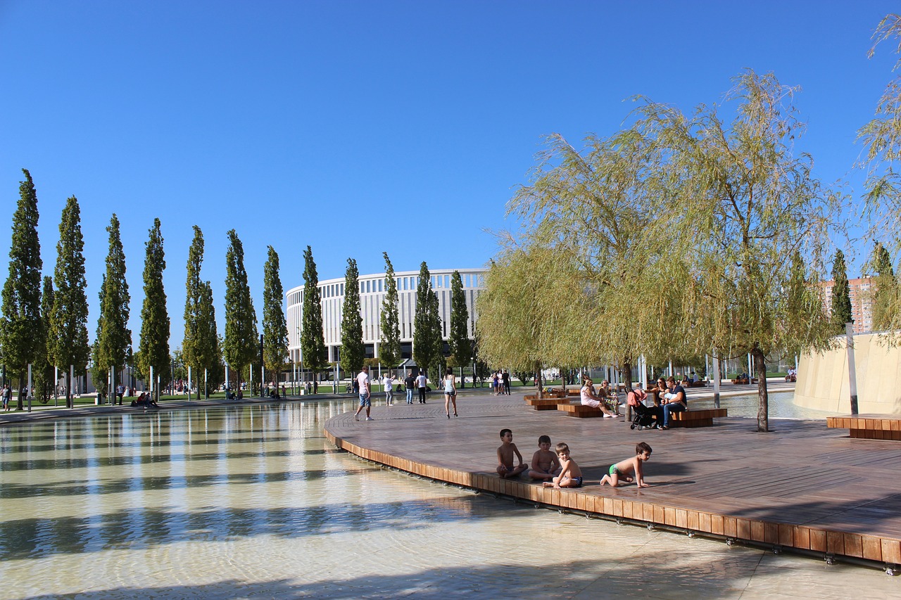 这一策略的 这一策略的