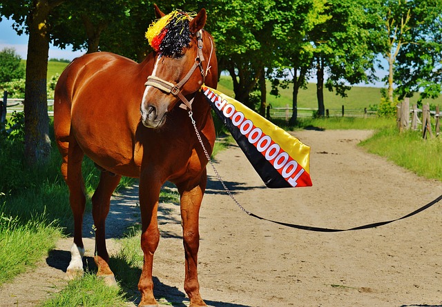 比赛强度和 比赛强度和