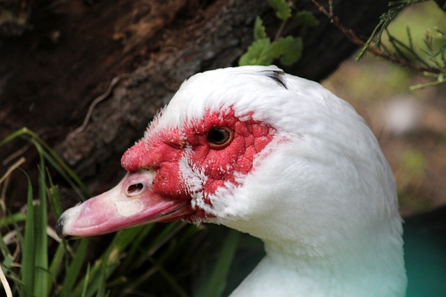 待的名字 待的名字