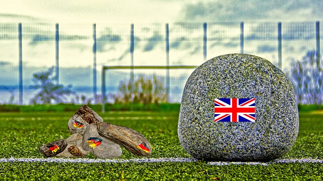 选材活动对 选材活动对