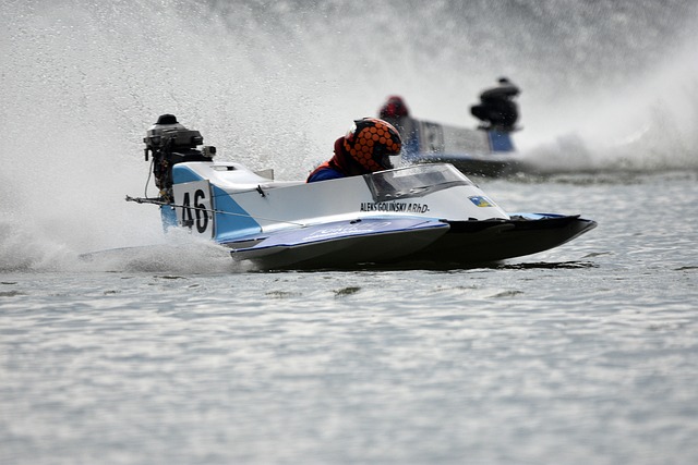 文化与制度 文化与制度