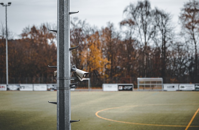 着一座奖杯 着一座奖杯