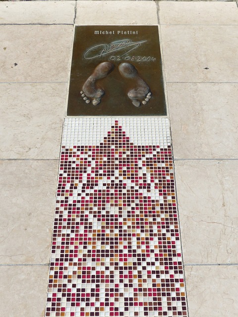 快速转移著 快速转移著